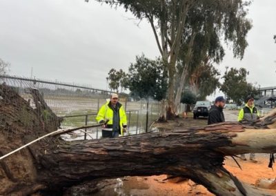 2-25-23 Cutting up fallen tree1 Karen - volunteer page 2023