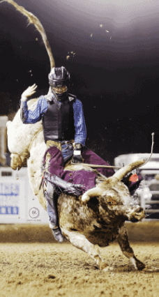 PBR