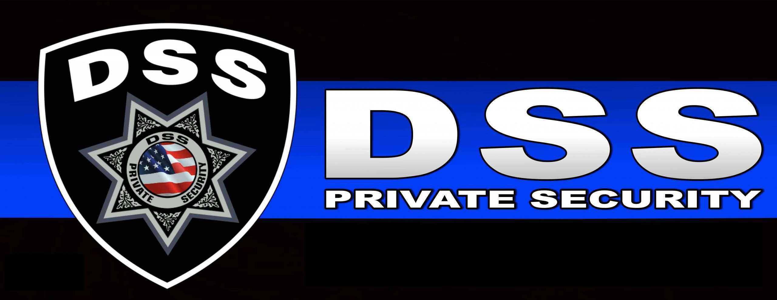 DSS-Logo-copy-scaled