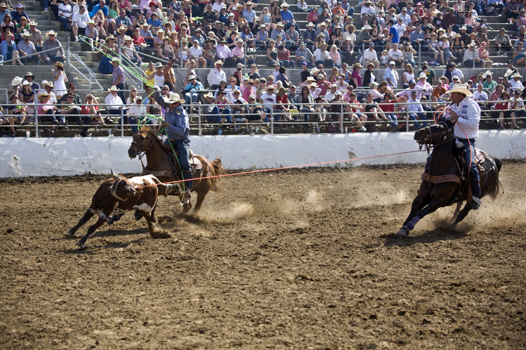 Clovis Rodeo Grounds Seating Chart